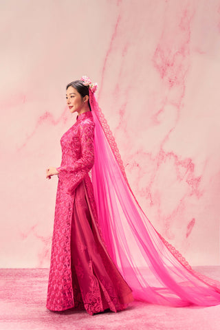 Lục Phấn