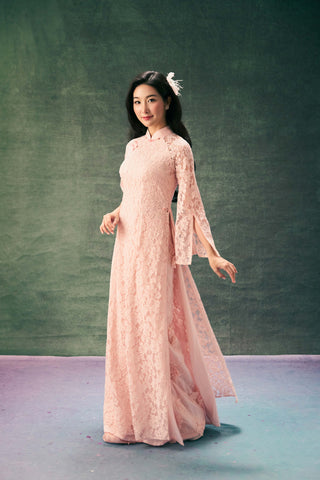 Phấn Diệp