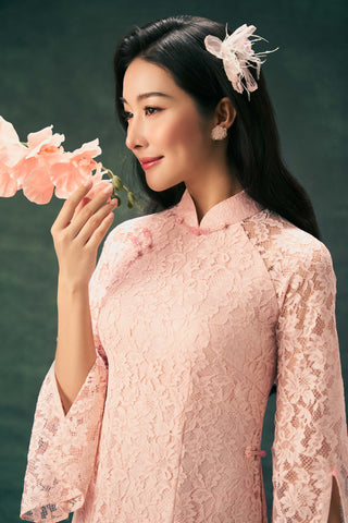 Phấn Diệp