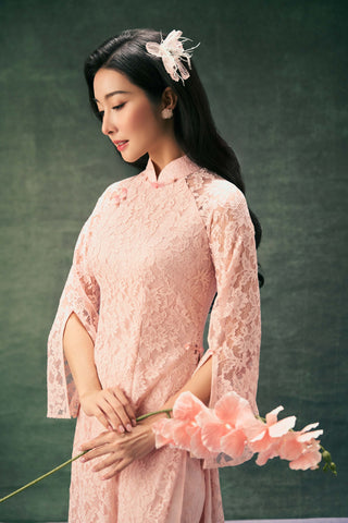 Phấn Diệp